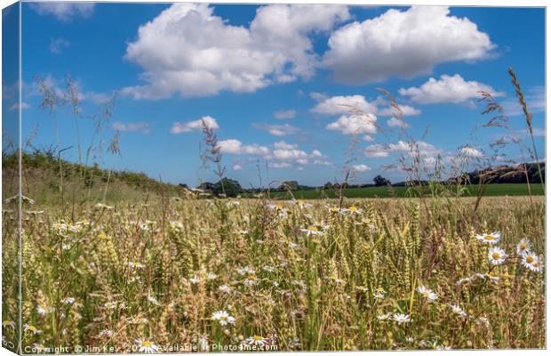 Wild Flowers in the Harvest Canvas Print by Jim Key