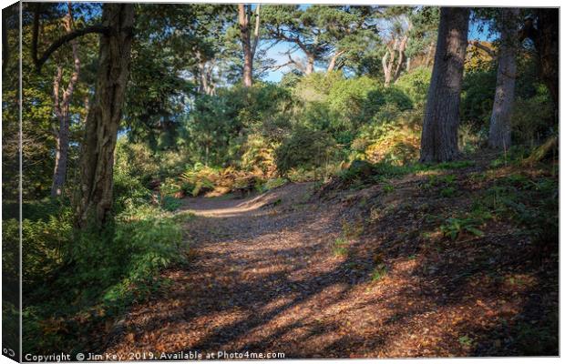 Autumn Colours on the Footpath Canvas Print by Jim Key