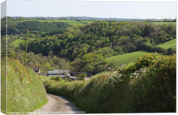 Lush Carmarthenshire countryside Canvas Print by Helen Davies