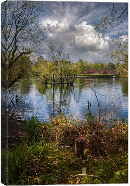 Cloud Reflections at Longmoor Lake _ California Country Park _ Finchampstead, Berkshire, England. Canvas Print by Dave Williams