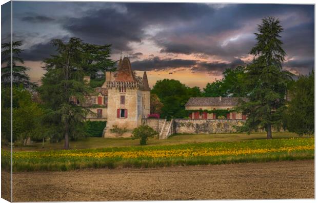 Manoir dit Chateau de Lafaurie Canvas Print by Dave Williams