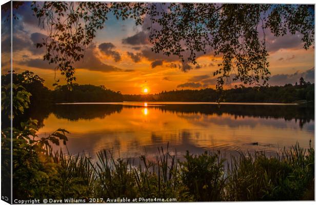 Sunset at Virginia Water Lake Canvas Print by Dave Williams