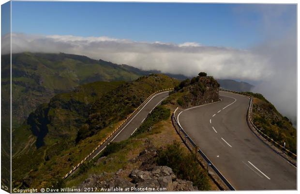 High Altitude Driving Canvas Print by Dave Williams