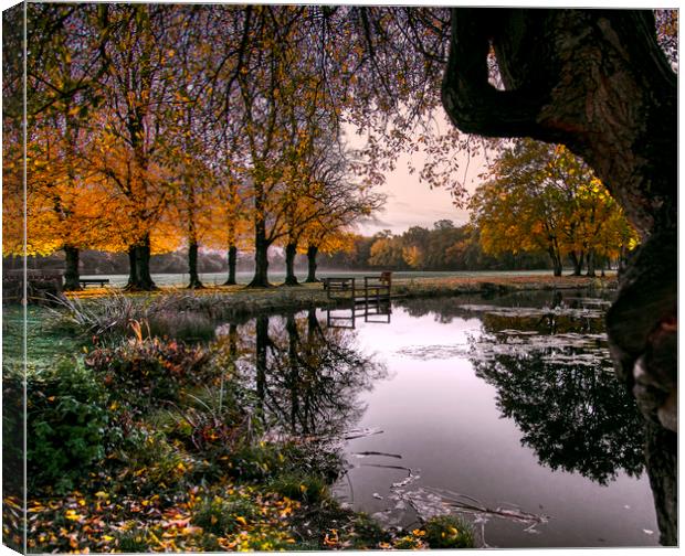 Dawn at Yateley Green Pond Canvas Print by Dave Williams