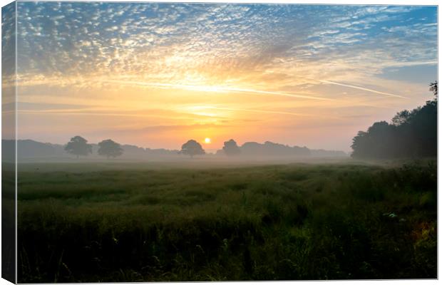 Glorious Morning Canvas Print by Dave Williams
