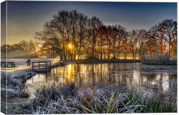 Winter Sunrise at Yateley Green Pond Canvas Print by Dave Williams