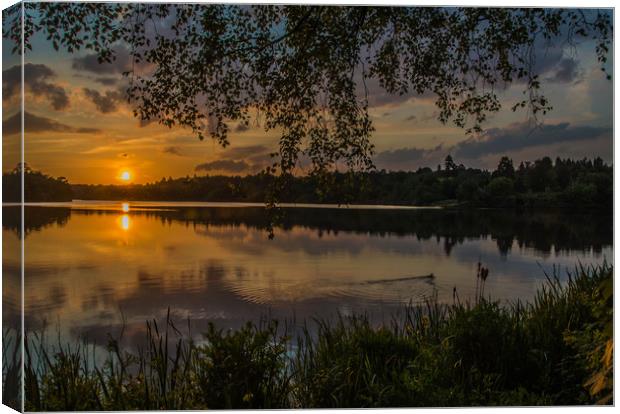 Virginia Water Sunset Canvas Print by Dave Williams