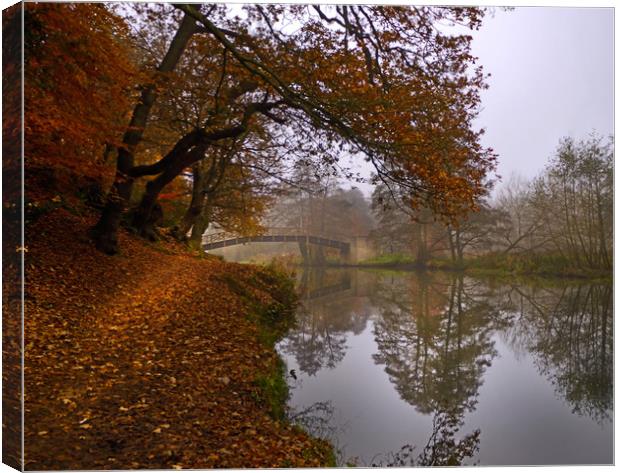 Autumn morning o the River Wey Canvas Print by Dave Williams