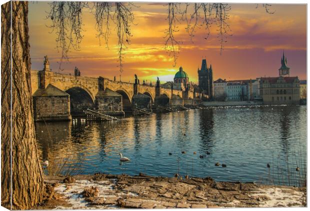 Golden Prague and the Charles Bridge Canvas Print by Dave Williams