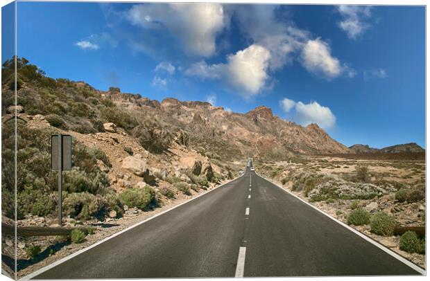 Taking The Long Road Canvas Print by Dave Williams