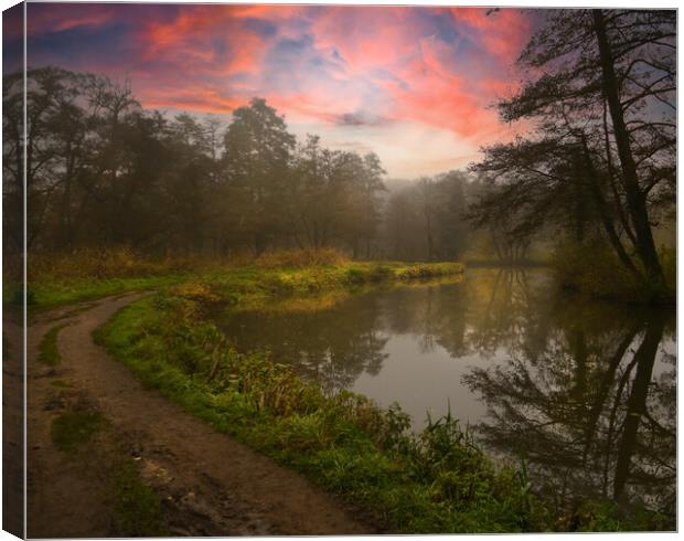 As the fog clears Canvas Print by Dave Williams