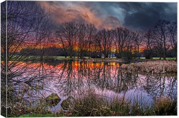 Dramatic Sky at Yateley Green Pond Canvas Print by Dave Williams