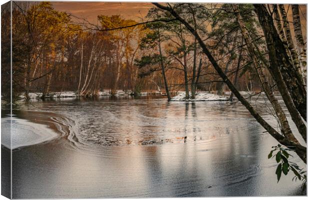 Ice Patterns and Snow on Heath Pond, Finchampstead Canvas Print by Dave Williams