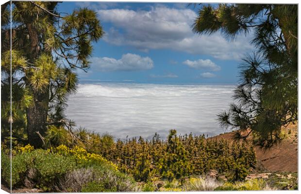 Mount Teide Cloud Inversion Canvas Print by Dave Williams