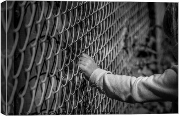 Little girl hand holding fence Canvas Print by Daniela Simona Temneanu
