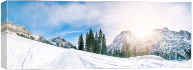 Alpine road through the snow Canvas Print by Daniela Simona Temneanu