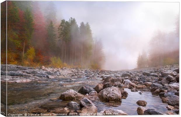 Autumn mist over river and forest Canvas Print by Daniela Simona Temneanu