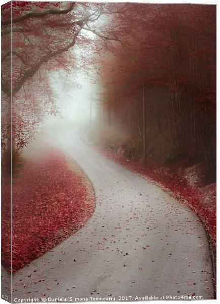 Endless road through a misty forest Canvas Print by Daniela Simona Temneanu