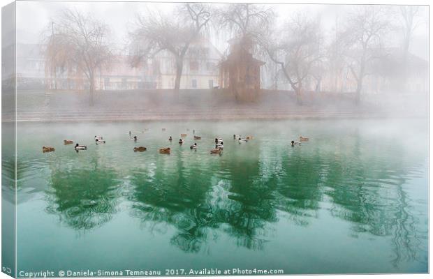 Flock of ducks on a foggy river Canvas Print by Daniela Simona Temneanu