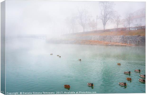 Foggy river and wild ducks Canvas Print by Daniela Simona Temneanu
