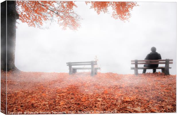 Man on bench shrouded by mist in autumn decor Canvas Print by Daniela Simona Temneanu