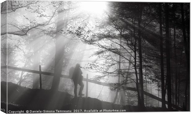 Man wandering into the forest Canvas Print by Daniela Simona Temneanu