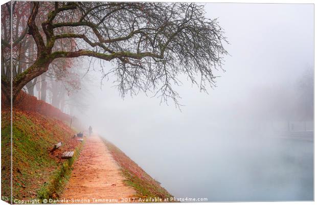 Path in autumn mist along the river Canvas Print by Daniela Simona Temneanu