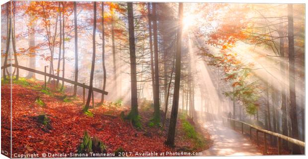 Road through an autumn forest and sun rays Canvas Print by Daniela Simona Temneanu