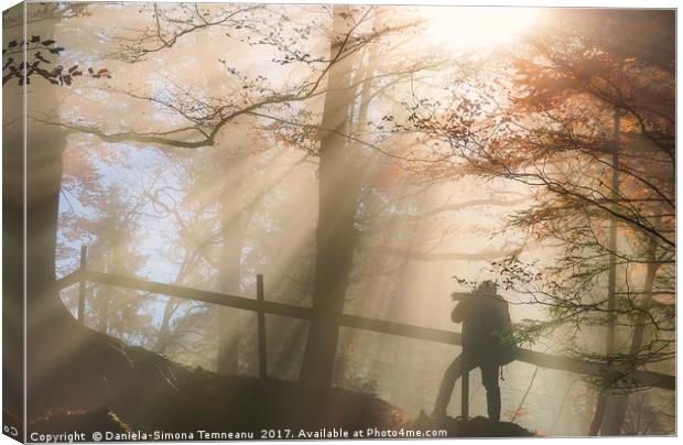 Silhouette of a man under sun rays in autumn color Canvas Print by Daniela Simona Temneanu