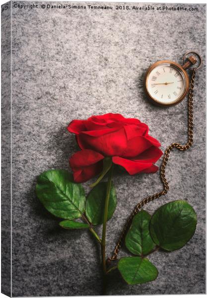 Red rose and a vintage pocket clock Canvas Print by Daniela Simona Temneanu