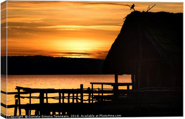 Silhouette of a cottage and bird  at sunset Canvas Print by Daniela Simona Temneanu