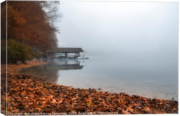 Dock on lake in autumn fog Canvas Print by Daniela Simona Temneanu