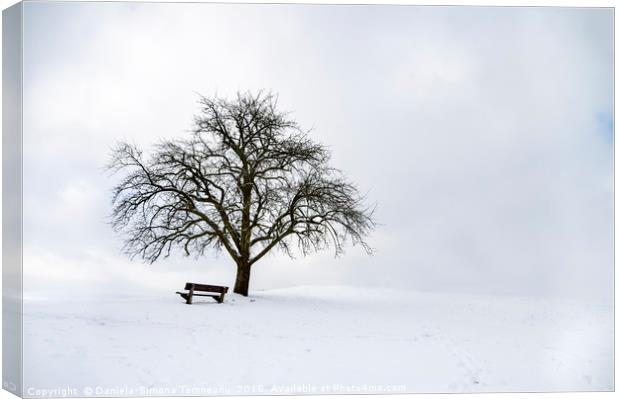 Big leafless tree on a snowy hilltop Canvas Print by Daniela Simona Temneanu