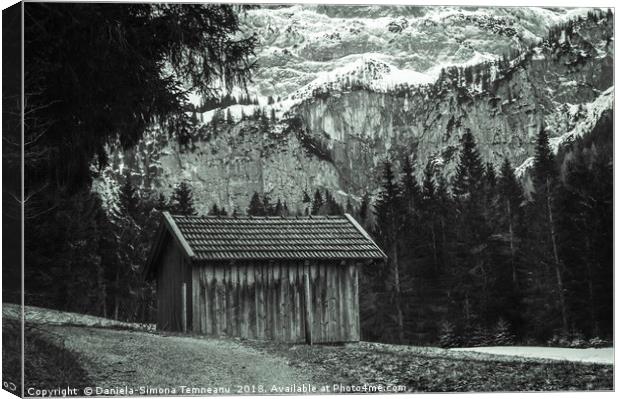 Monochrome alpine scenery Canvas Print by Daniela Simona Temneanu