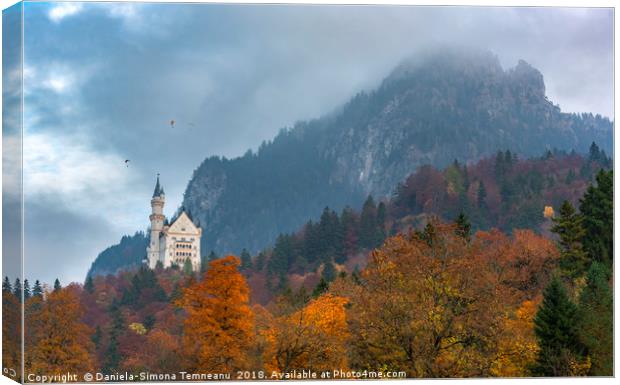 Autumn colored forest in Bavarian Alps Canvas Print by Daniela Simona Temneanu