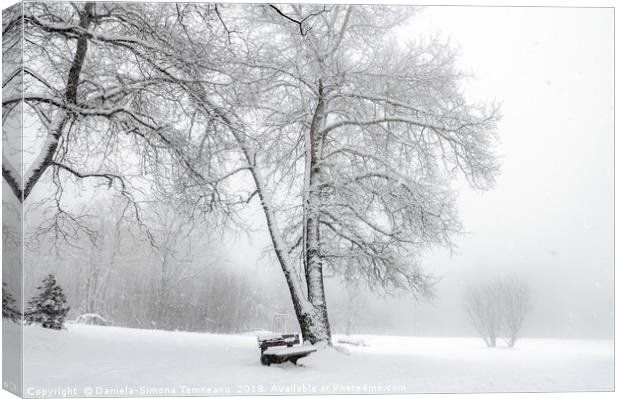 Snowing in a park Canvas Print by Daniela Simona Temneanu