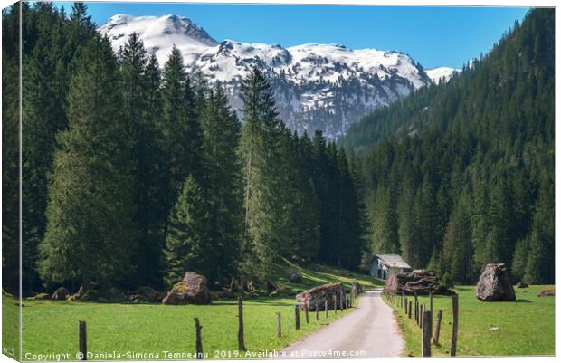 Road toward the green forest and the Swiss Alps. S Canvas Print by Daniela Simona Temneanu