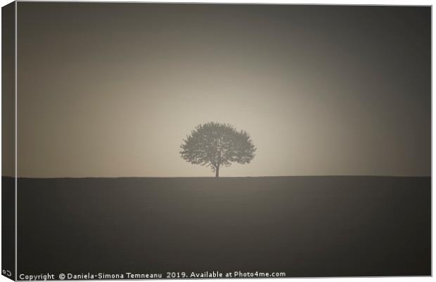 Vintage image with a single tree Canvas Print by Daniela Simona Temneanu