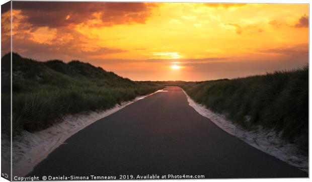 Road through dunes and grass at sunrise Canvas Print by Daniela Simona Temneanu