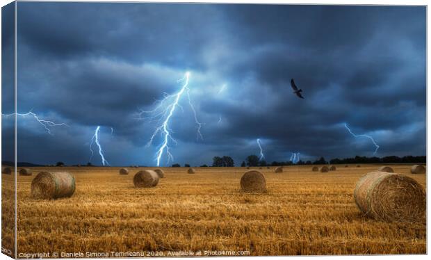 Lightning storm and field with bales of hay Canvas Print by Daniela Simona Temneanu