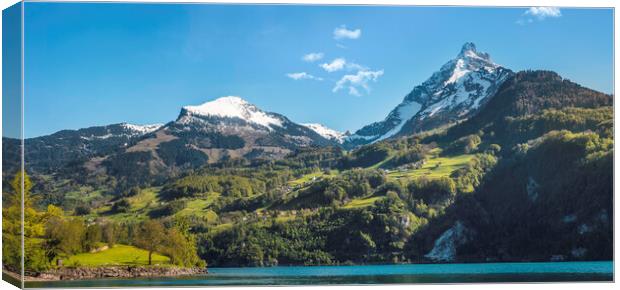 Mountain peaks in swiss Alps. Summer landscape in Switzerland Canvas Print by Daniela Simona Temneanu