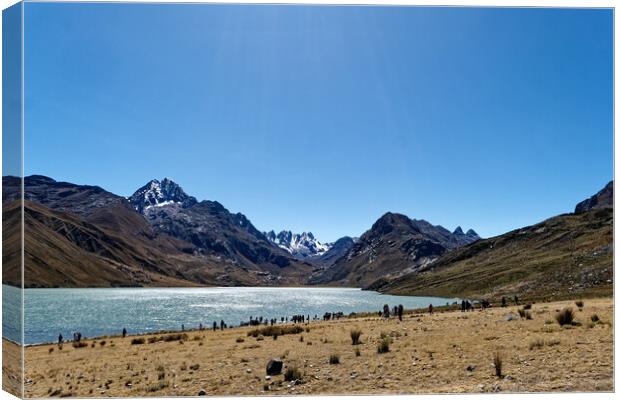 Laguna Quericocha high in the Peruvian Andes Canvas Print by Steve Painter
