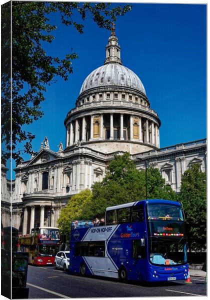 St Paul's Cathedral Canvas Print by Steve Painter