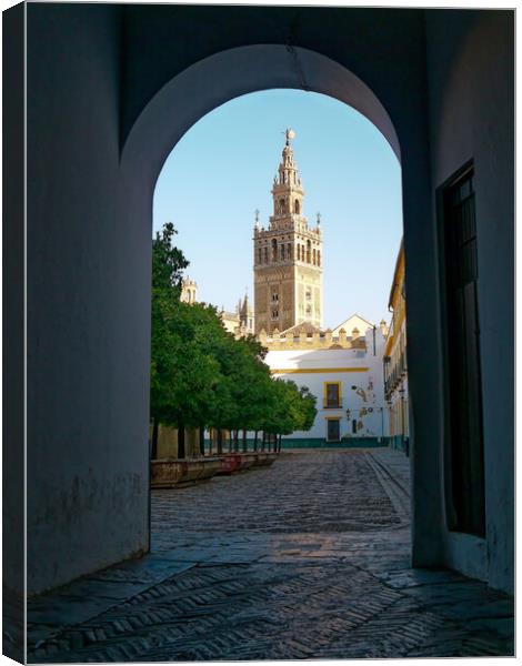The Cathedral of Saint Mary of the See in Seville  Canvas Print by Steve Painter