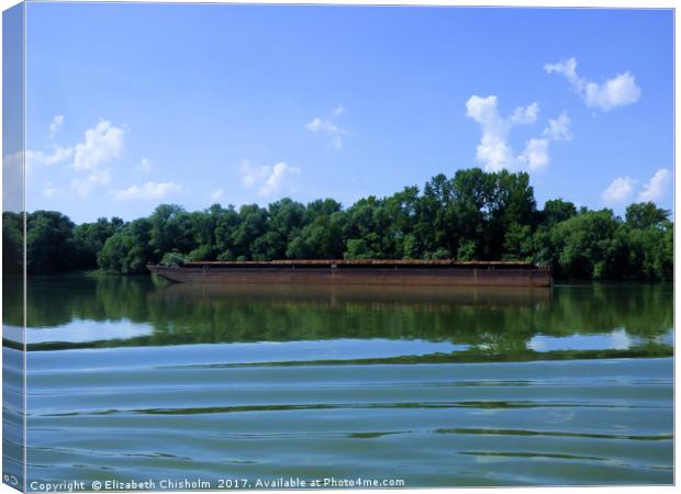 Rusty barge on the River Danube Canvas Print by Elizabeth Chisholm