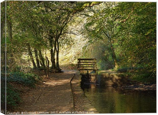 The Sluice Gate Canvas Print by Elizabeth Chisholm