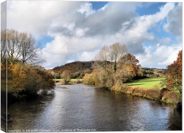 Shades of Autumn on the River Dart Canvas Print by Elizabeth Chisholm