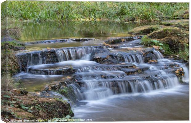 Debdon Burn waterfall, Northumberland Canvas Print by Hazel Wright