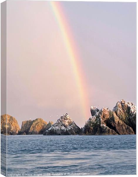 Les Etacs rock gannet colony, Alderney Canvas Print by Hazel Wright