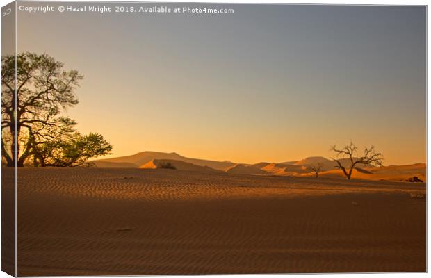 Sunrise in Sossusvlei Canvas Print by Hazel Wright